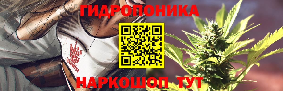 Каннабис гибрид Шали