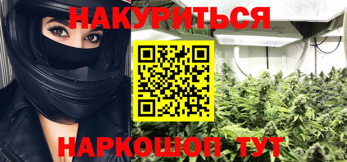 Шали  МАРИХУАНА Bruce Banner  Каннабис OG Kush  Вход с VPN  Шишки марихуана планчик  Бошки марихуана OG Kush 